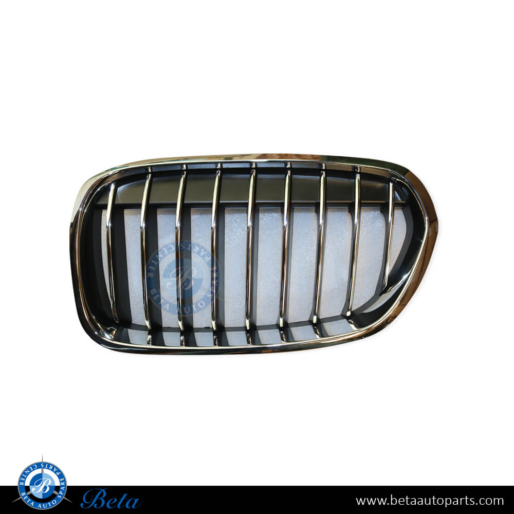 Right Side Radiator Grille Luxury Line for BMW 1 Series F20/F21 LCI 2015-2019 models, Part Number 51137400798 Right Side Radiator Grille Luxury Line for BMW 1 Series F20/F21 LCI 2015-2019 models, Part Number 51137400798